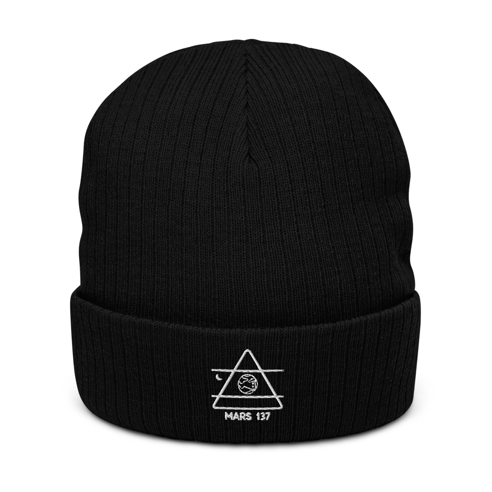 ALPHA 1 Recycled Beanie