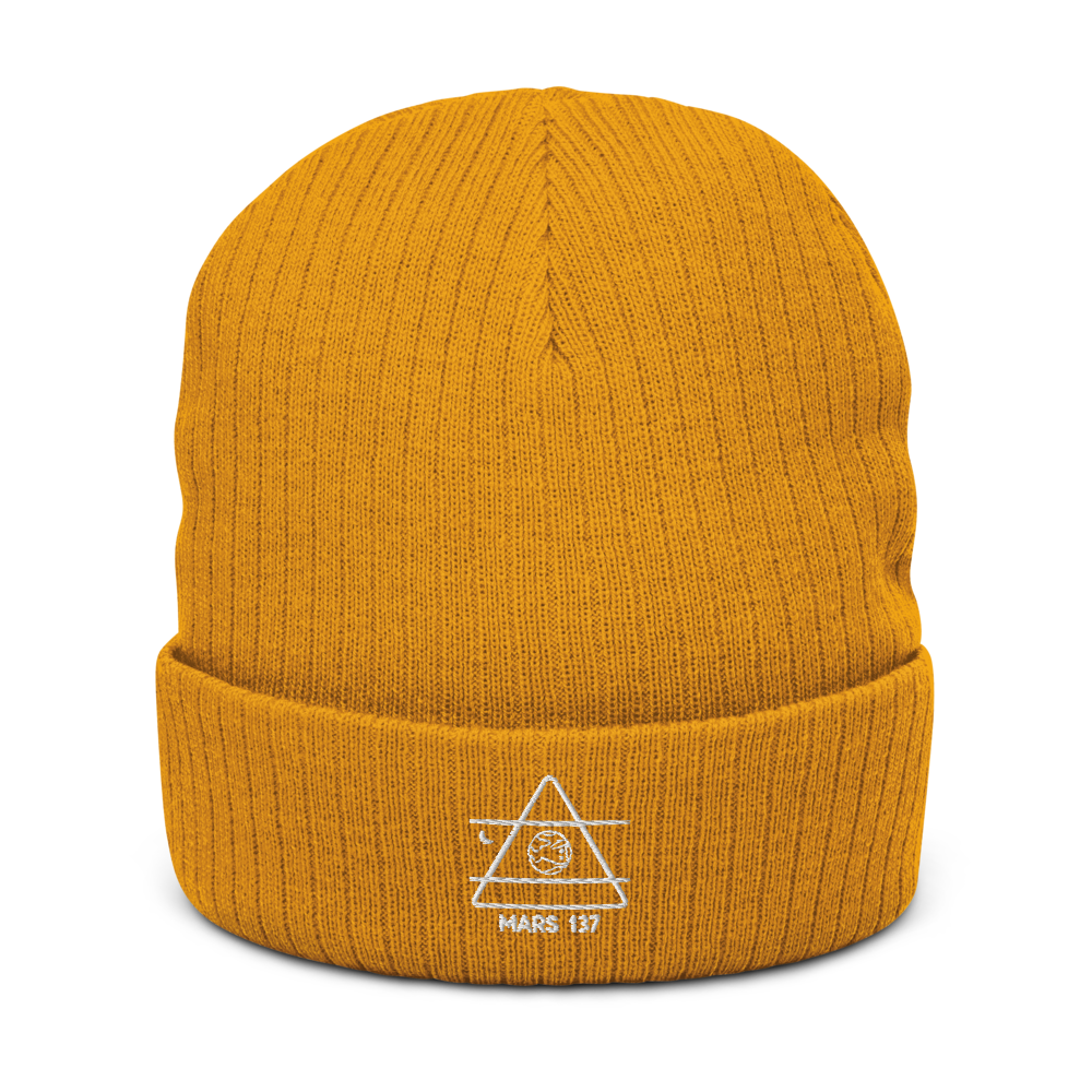 ALPHA 1 Recycled Beanie