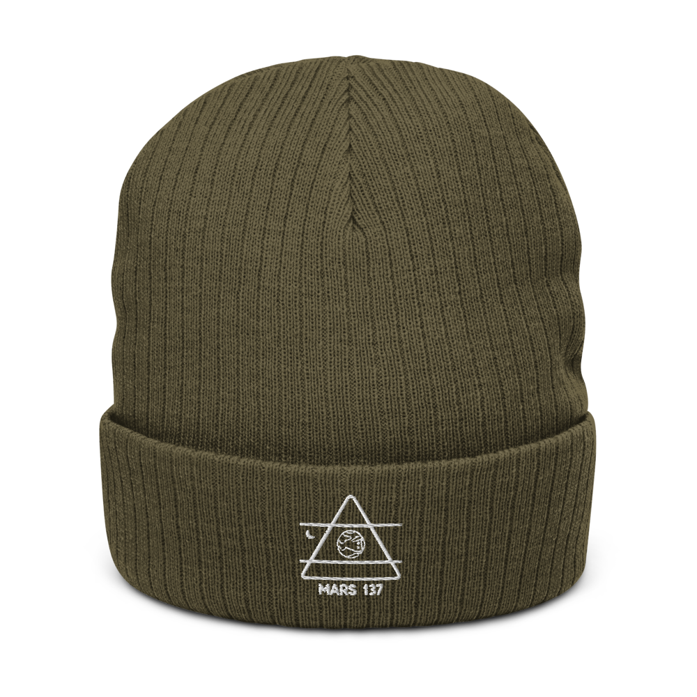ALPHA 1 Recycled Beanie