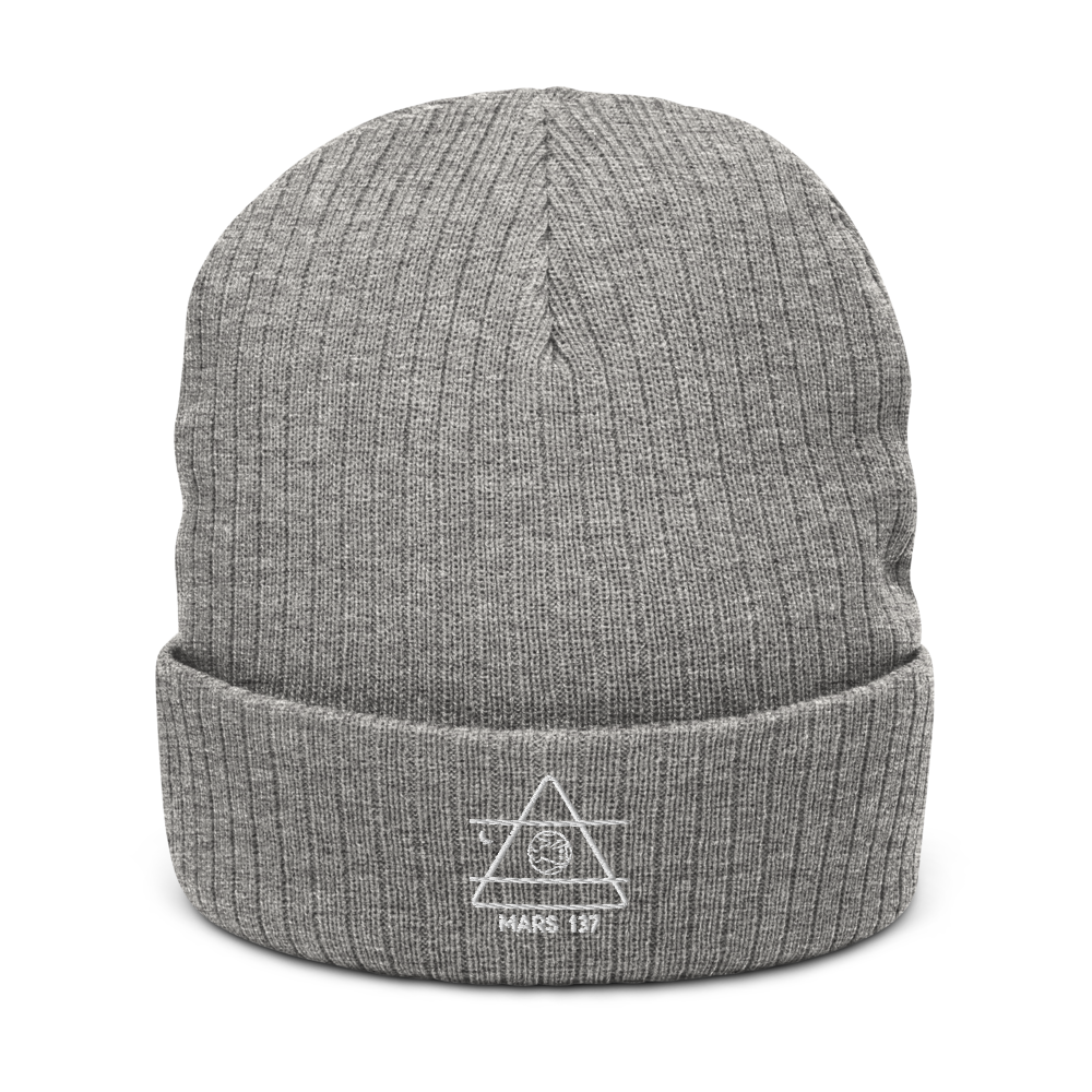 ALPHA 1 Recycled Beanie
