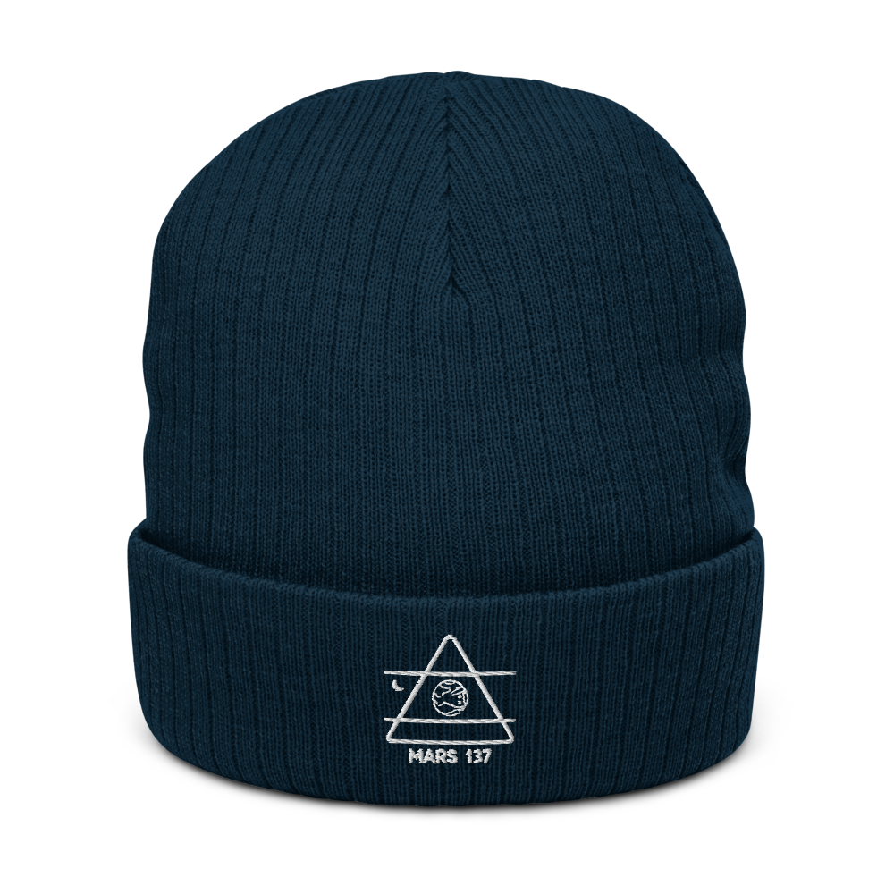ALPHA 1 Recycled Beanie
